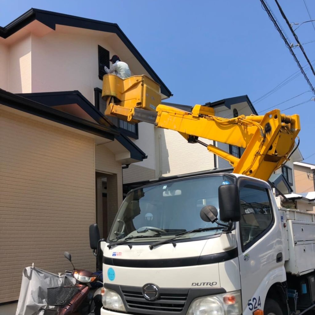 和歌山コウモリ駆除