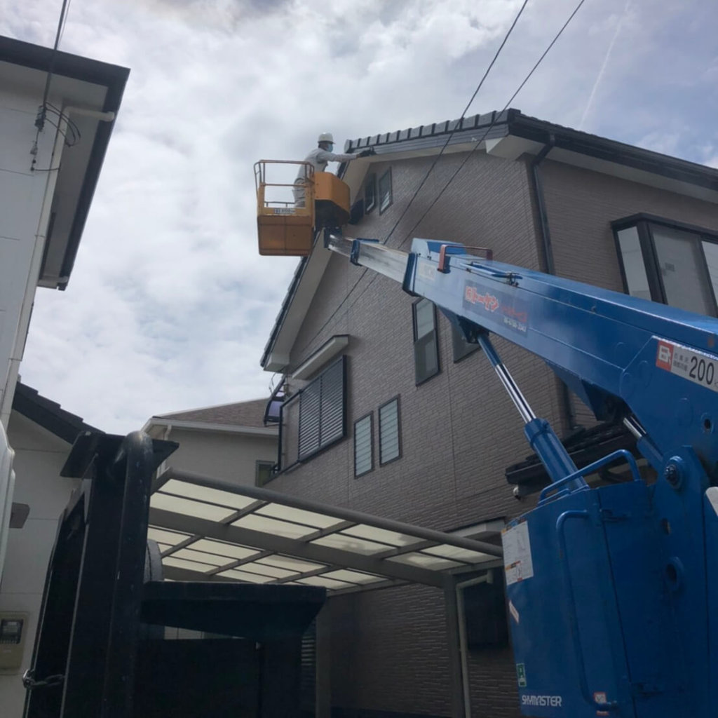 兵庫県コウモリ駆除の事例写真