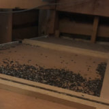 西脇市のコウモリ駆除の作業事例(最長3年間の保証付き)