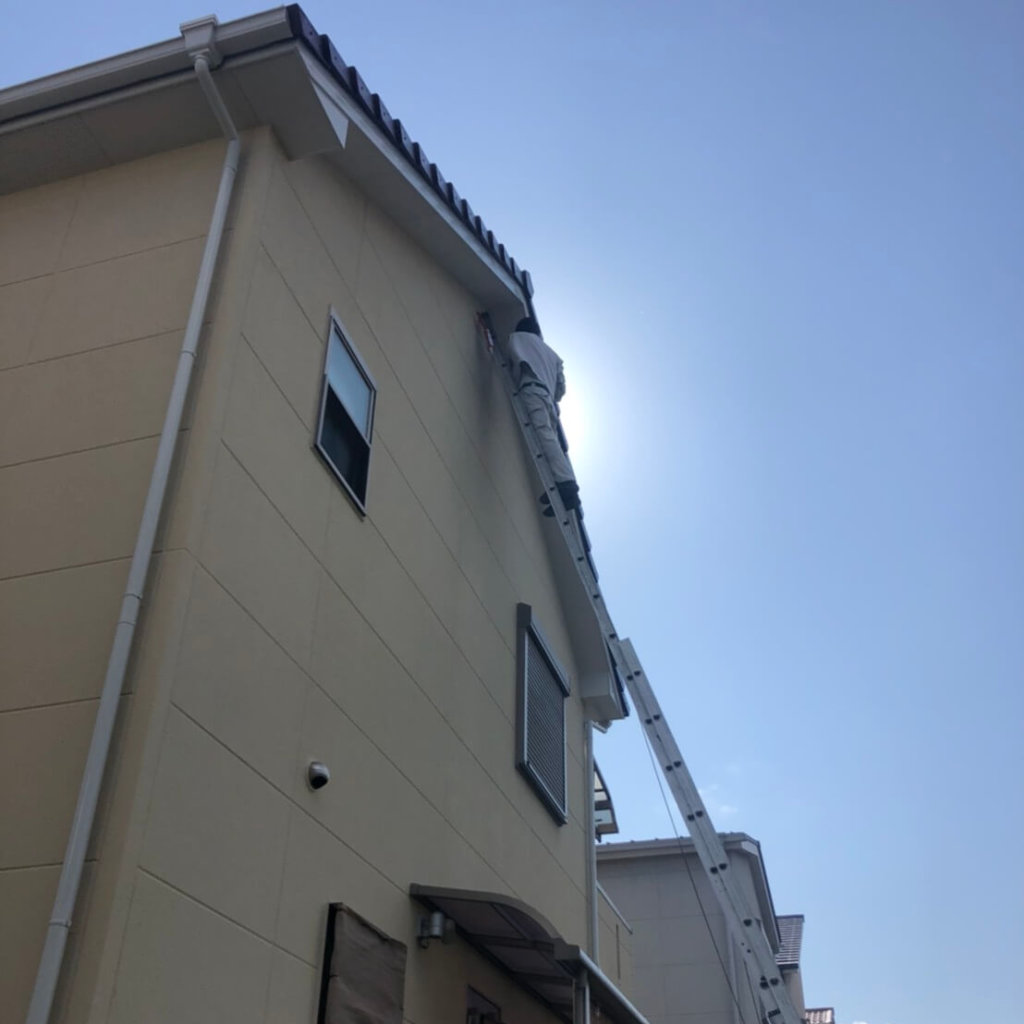 三重県コウモリ駆除の事例写真