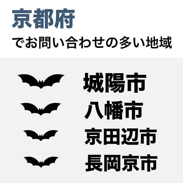 京都府でコウモリ駆除のお問い合わせの多い地域は順に、城陽市、八幡市、京田辺市、長岡京市、京都市の順です。