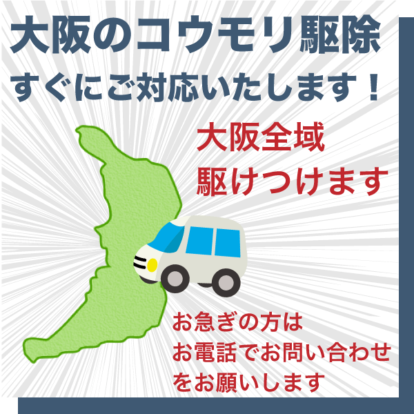 大阪のコウモリ駆除は県内全域すぐに駆けつけます。