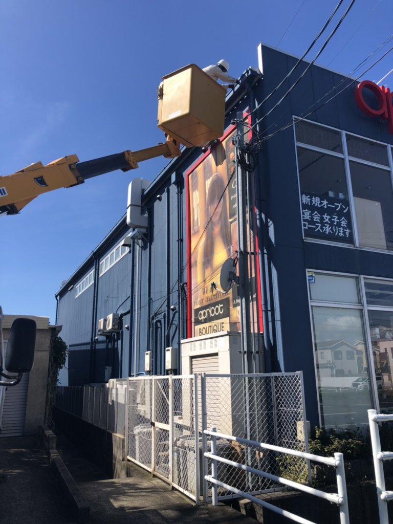 滋賀県のコウモリ駆除の事例写真