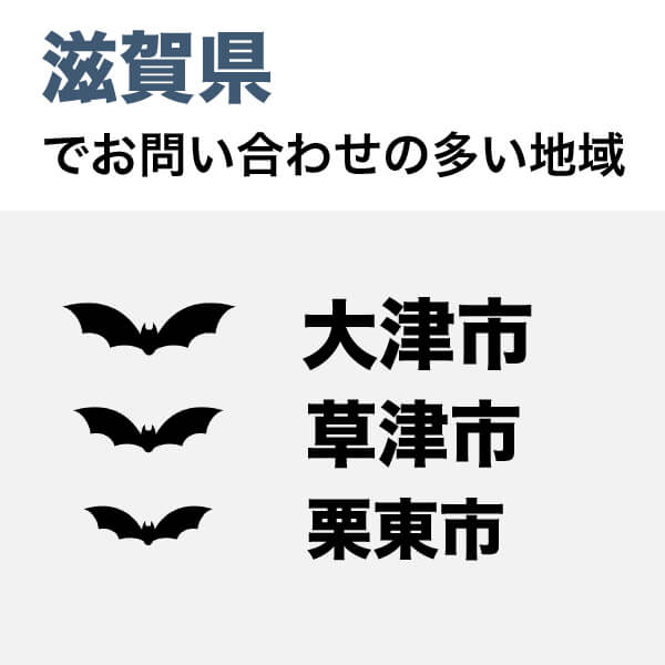 滋賀県でコウモリ被害が多いのは大津市、草津市、栗東市の順となっています。