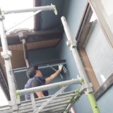 阪南市のコウモリ駆除の作業事例(最長3年間の保証付き)