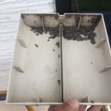 志摩市のコウモリ駆除の作業事例(最長3年間の保証付き)