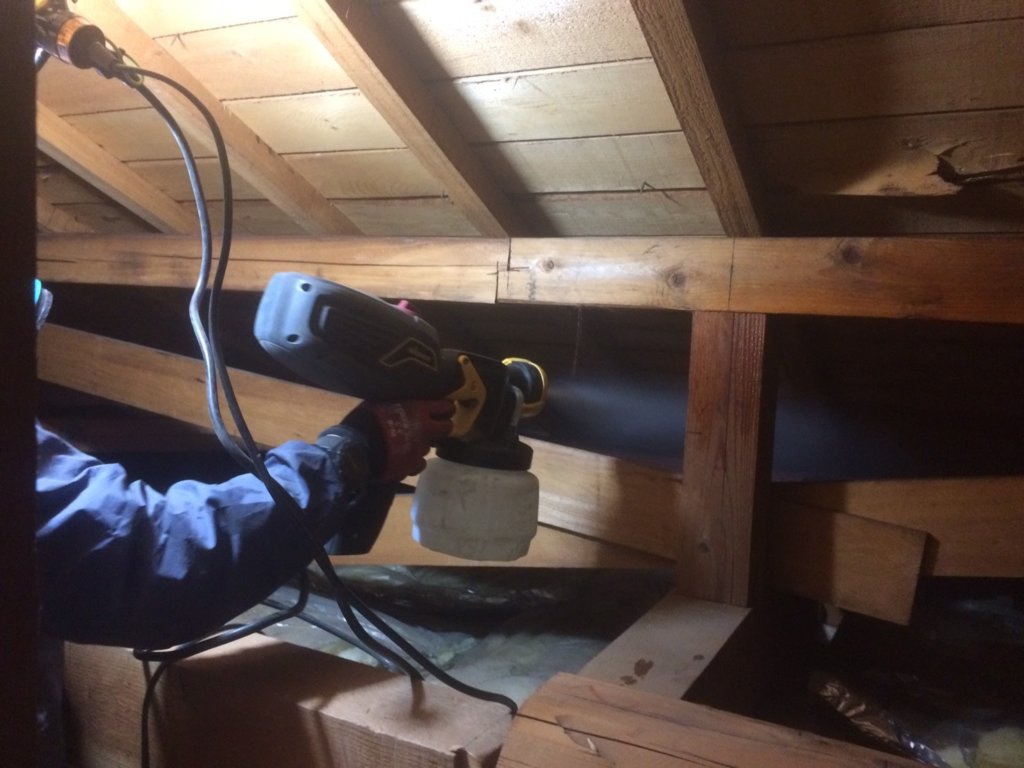 伊丹市のコウモリ駆除
天井裏のコウモリ被害の清掃・消毒作業