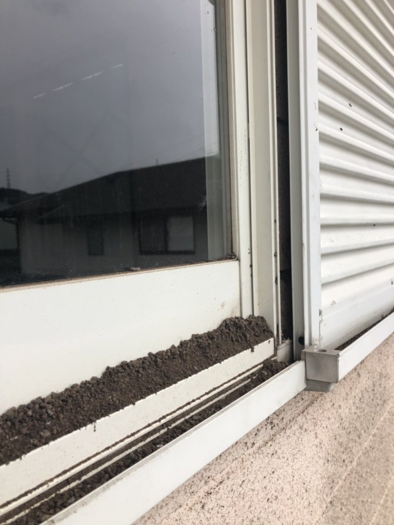 大阪府のコウモリ駆除とフンの被害