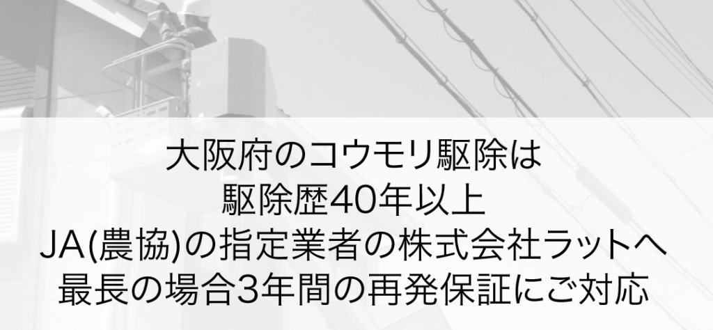大阪府のコウモリ駆除は駆除歴40年以上・JA(農協)の指定業者の株式会社ラットへ
最長の場合3年間の再発保証にご対応